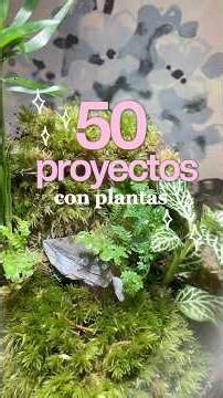50 proyectos con plantas | Episodio 11: Terrario
