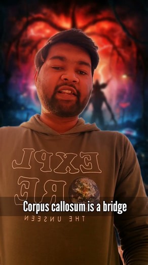 Your Hand Has a Mind of Its Own?! 😳 | Alien Hand Syndrome Explained