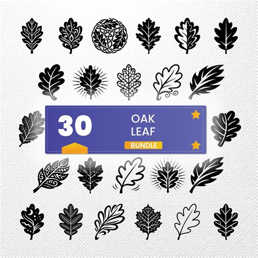 Oak Leaf SVG Bundle | 30 Vector Clipart | PNG EPS Dxf Pdf | Illustration Files - Etsy