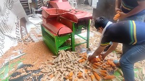 Corn Thresher with Sheller in 1 DEMO!! | Payo Dok Alternatibo Machineries