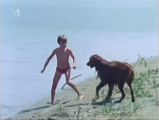 Pipo schafft alle (1989) TV serie – Ep 02 Das Baumhaus (The treehouse)