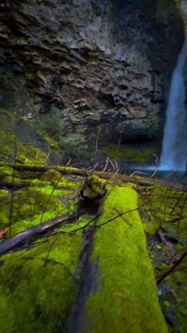 4 hidden waterfalls deep in the Columbia River Gorge