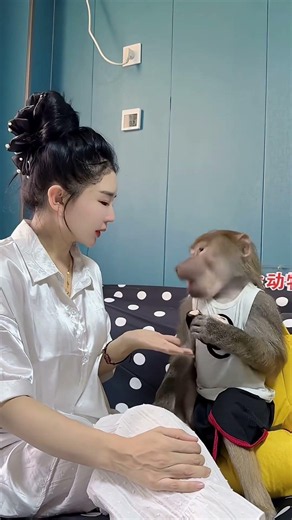 Baboon Is So Lucky, He Has The Most Popular Labub #adorably #monkey #animals