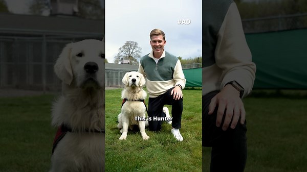 PTSD Service Dogs – Lifesaving Companions for Veterans and Survivors