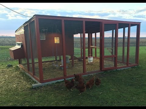 Homemade Chicken Coop & Run DIY - It'll Survive A Minnesota Winter!