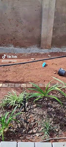 Creative Wall Cladding Ideas for Your Fireplace