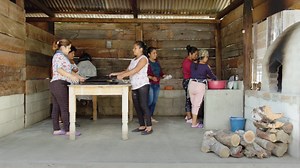 17 reactions · 4 comments | In Chiapas, female entrepreneurs...