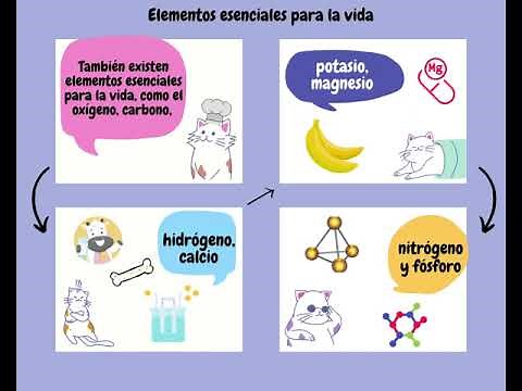 Proyecto Integrador. Semana 4. Módulo 14. La dinámica del universo