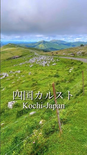 標高1,400mの絶景ドライブ✨どこまでも続く草原と空が広がる「四国カルスト」。日本とは思えない景色に心奪われる⛰️🌿