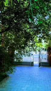 Good Evening | James Mathew