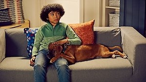 Watch Puppy Place Season 1 Episode 7 - Jack