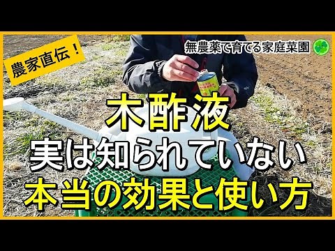 【木酢液の使い方】家庭菜園での正しい活用法を伝授！【有機農家直伝！無農薬で育てる家庭菜園】 24/12/31