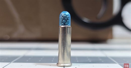 The Rimfire Report: An Examination of CCI 22 Shot Shell (Rat Shot)