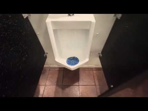 Rest area men’s restroom with proFlo fixtures ￼