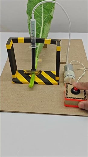 How To Make Science Exhibition Working Model #shorts #scienceproject