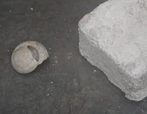 Primitive Technology: Lime.