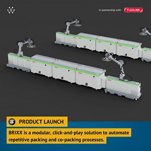 1.4K views · 17 reactions | BRIXX®, an innovative solution for...