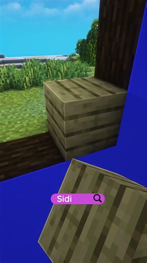 Minecraft Ocean Illusion💀