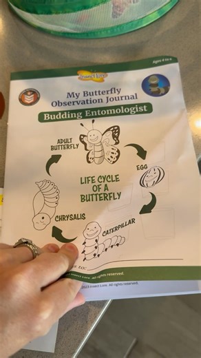 Watch Honest review of butterfly kit. on Amazon Live