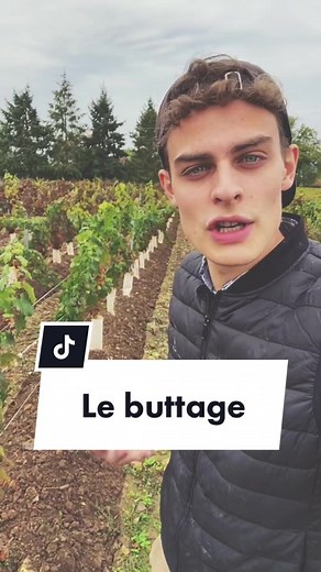 Un peu technique mais ça va #pourtoi #vigneron #vin #vigne