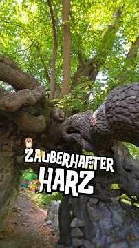 🌬Mystical📍Places in the 🌄Harz Mountains & ✨️A Magical🦉Shop #travelgermany #harrypotter #wanderlus...