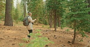 Slow Motion Young Woman Walking Green Stock Footage Video (100% Royalty-free) 1060189967 | Shutterstock