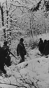 27K views · 12K reactions | “Step back into history with Paratroopers...