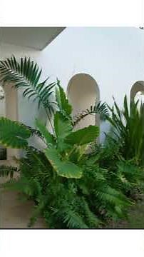 House with perfect arches #CasaEclipse #Architecture #Architecture #MexicanArchitecture