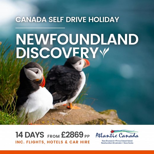 6.1K views | Enjoy a superb tour of beautiful Newfoundland and Labrador, taking you from St. John’s to the UNESCO World Heritage site, Gros Morne National Park. From whale watching to iceberg spotting, you'll discover what makes this place so special.  | Freedom Destinations | Facebook