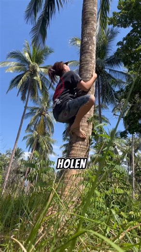 ELIZEL on Instagram: "Habe versucht Kokosnüsse von den Palmen zu holen. #kokusnuss #palmen #klettern #thailand #survival #jungele"