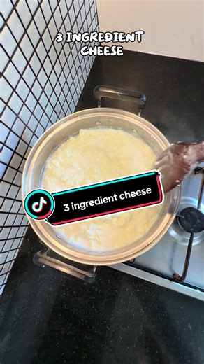Easy 3-Ingredient Homemade Cheese Recipe
