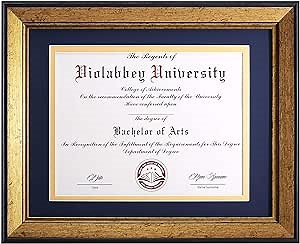 VIOLABBEY 8.5x11 Diploma Frame Gold, 8.5 x 11 Certificate Frame with Mat or 11x14 College Degree Frames without Mat, Wall or Tabletop Display, Tempered glass (Navy Gold Double Mat)