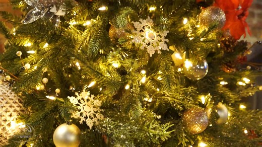 Celebrating the heart of our organization this Christmas season 💛🎄 The Albany Housing Authority staff gathered at The Flint to close out the year with joy, laughter, and appreciation. It’s the people who make the mission possible...today and always. Cheers to a great team and an even greater season! 🥂 #BuildingABetterAlbany #ChristmasCheer | Albany Housing Authority