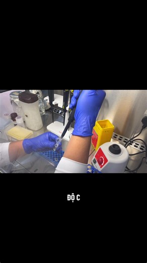 Tách chiết DNA (DNA extraction) | Phần 12: Protocol tách chiết DNA bằng boiling prep. #sinhhoc #vikhuan #learnontiktok #dna