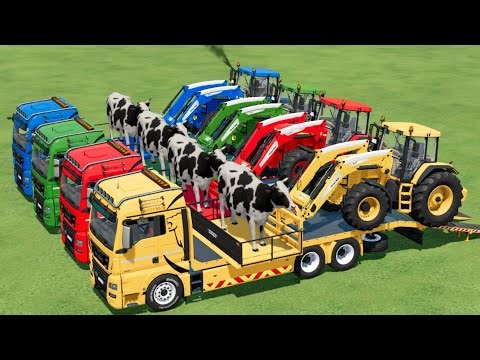 COW Transport With Lizard Trailer & Delivered In Fs22 | Farming Simulator 22 |