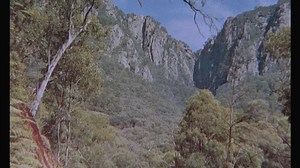 463 reactions · 136 shares | " 'Tis but a scratch" That's right, Monty Python & the Holy Grail is returning to theaters for a limited time across the US! Book your tickets for December 3rd and 6th now! | Regal | Facebook