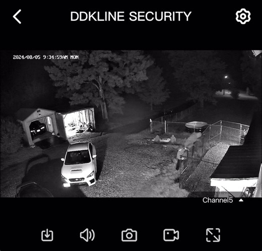 41K views · 427 reactions | Glad we have cameras for times like this…we got it all on camera! They were Trying to steal puppies…got attacked by the dog! #dog #training #viral #thehulk | I am the HULK | Facebook