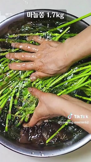 마늘쫑 삭힌 장아찌 황금빛 레시피 — 실패 없는 비법