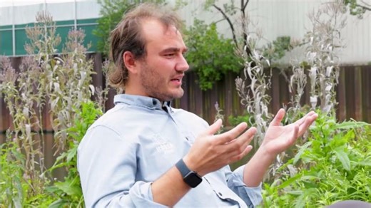 Chicago s Wild Mile: Restored Wetland Islands Revitalize River | Melanie Robbins posted on the topic | LinkedIn