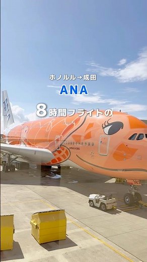 【ハワイ】フライングホヌの搭乗レポ✈️ #ハワイ旅行 #フライングホヌ #ANA