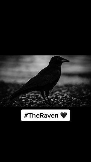 benreadspoetry on TikTok