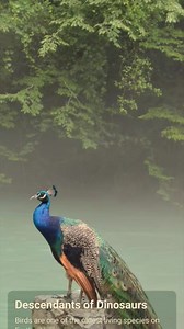 Mehul Solanki on Reels