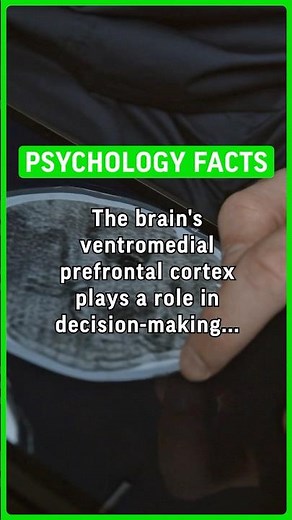 The brains ventromedial prefrontal cortex plays a role in decision-making and emotional… #psychology