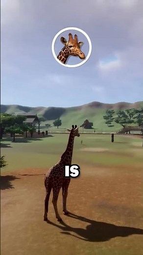 🦒 BECOME The ANIMAL in Planet Zoo! | Planet Zoo Tutorial #shorts #planetzoo