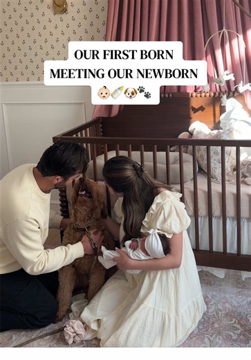 Introducing Our New Puppy to the Family