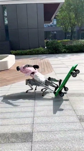 Final destination 8: Robots against physics #robotfail #cybernews