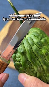  Dragon & Tiger’ın eşsiz bıçak seti – ellerinizde gerçek Japon kalitesi!  Dragon çok amaçlı bıçak, tüm ürün çeşitleri için uygundur  Tiger hassas kesim bıçağı, et ve balık dilimleme için idealdir ⚔️ Yüksek kaliteli çelikten üretilmiştir  Ergonomik ve şık tasarıma sahip | Toji | Facebook