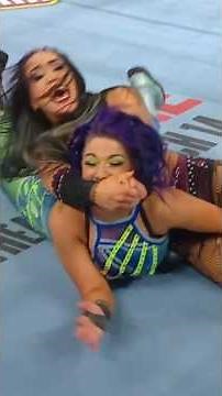 REAL WWE Brawls! 💣