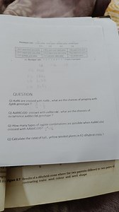 QUESTIONQ) AaBb are crossed with AaBb , what are the chances o... | Filo