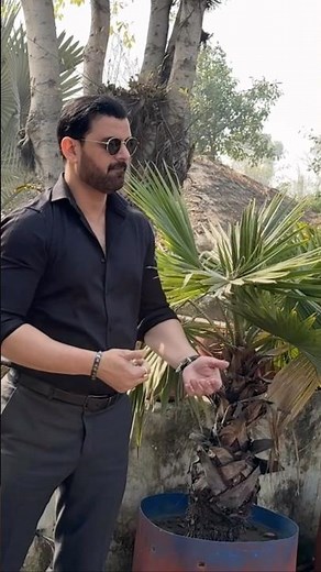 Zindagi Har Kadam Ek Nai Jung Hai with lyrics | Laxmikant Pyarelal | Lata Mangeshkar | Sad Song